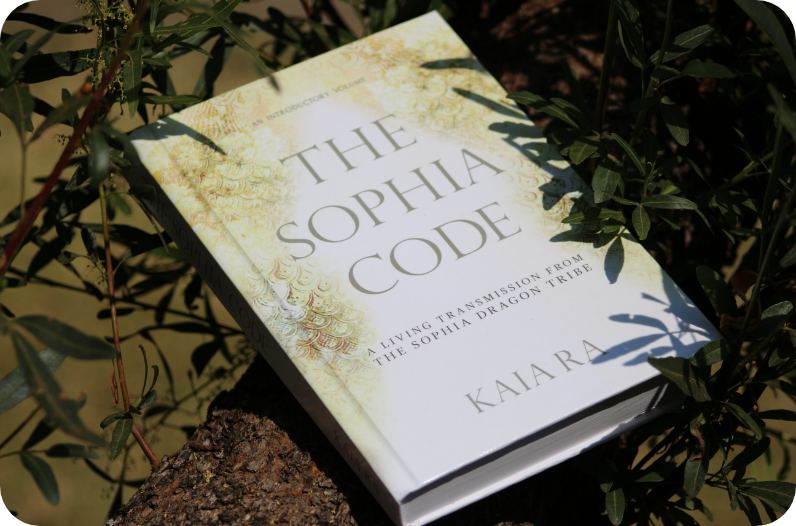 The Sophia Code